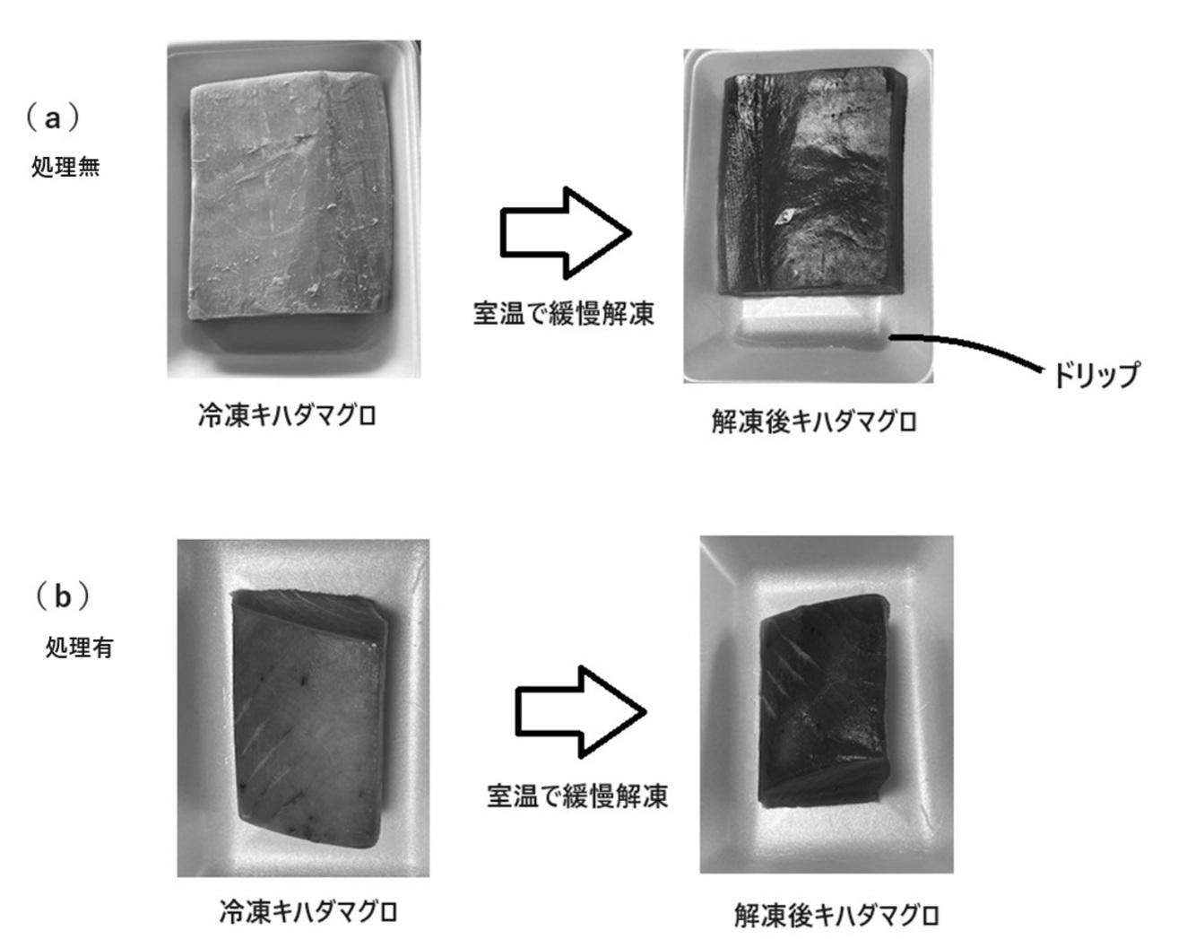 食材抗氧化装置、食材抗氧化方法及冷藏库 图13